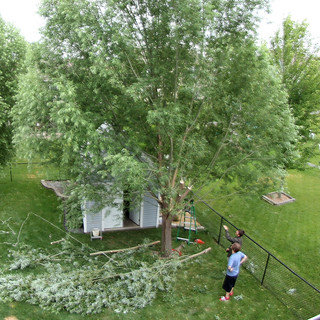 Germ explaining cuts