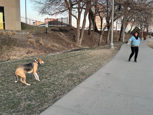 We walked under a bridge that made loud clunky noises when cars drove over. Durby was not about t...