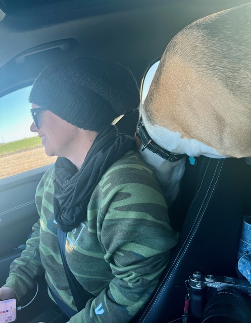 Durby puked up a bone in the back of Kari's car and was very embarrassed