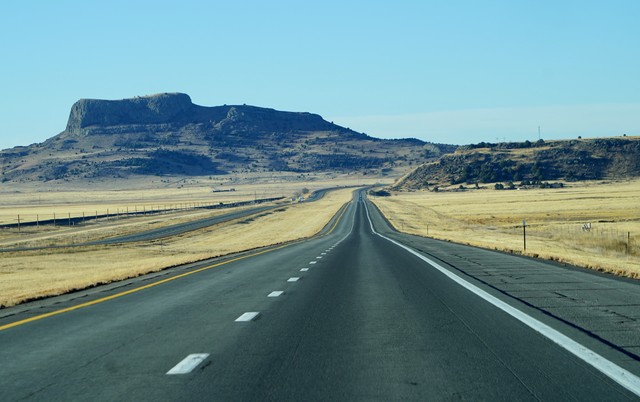 New Mexico is kinda wild