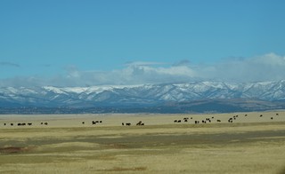 Outside the other Vegas