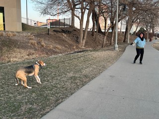 We walked under a bridge that made loud clunky noises when cars drove over. Durby was not about t...