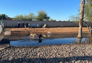 The mud pit dog park at Citrus Gardens