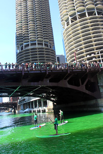Paddle Boarders on the green river