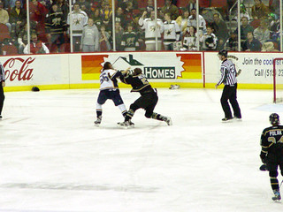 Hockey - Fight