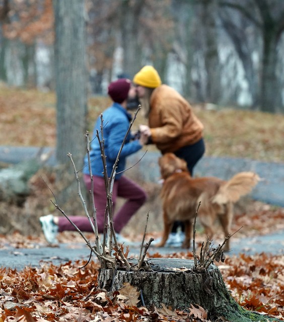 Gosh, I wonder what is sprouting here.