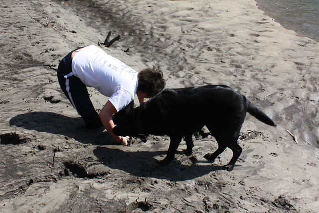 Ninja to the rescue!