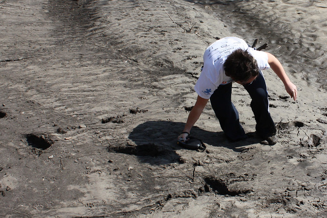 She totally issed the other 'foot deep' foot prints