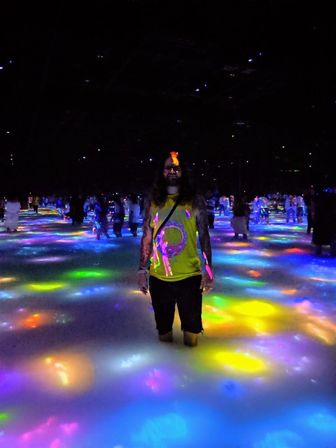 Photos didn't capture it well, but there were fish projected into the water that interacted with ...