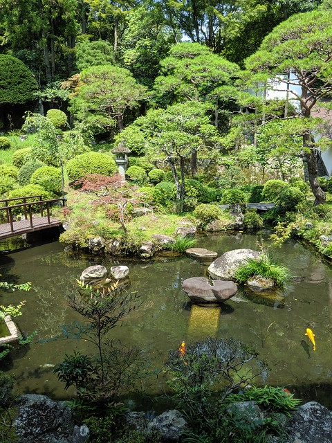 The temple we ate at was beautiful and incredibly serene