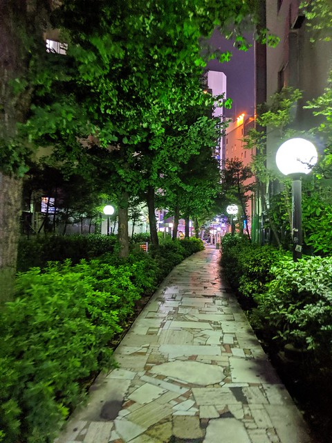 A nice path leaving Golden Gai
