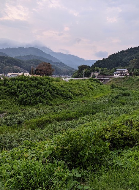 Walking around and checking out the pretty views while waiting for dinner