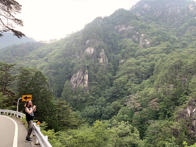 Roadside sight seeing