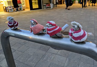 Someone made some nice little hats n scarves for these birdies