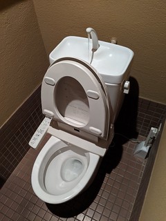 This toilet had a built in sink... The sink ran when you flushed the toilet. the sink water filled the tank, which would then later fill the bowl.