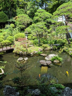 The temple we ate at was beautiful and incredibly serene