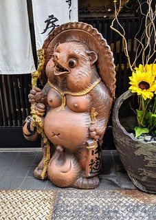 Look at this tanuki and his huge balls