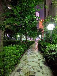 A nice path leaving Golden Gai