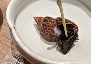Sushi - Bout to eat this snail. I had to twist it out of the shell!