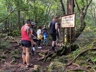 I think this sign says danger or something