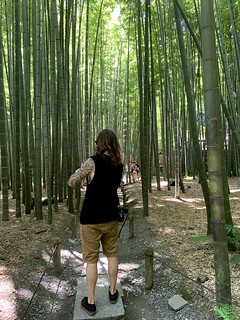 Walkin through this bamboo forest