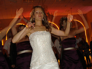 Summer Catour - Summer