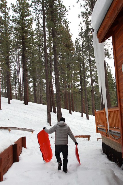 Goin Sledding