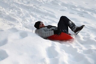 Sleddin