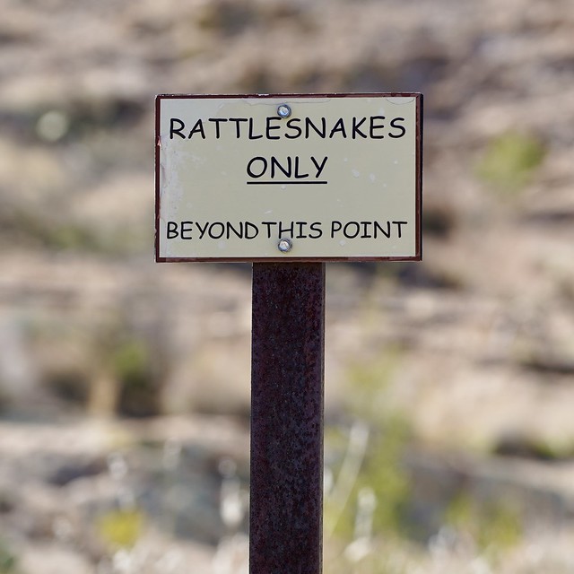Rattlesnakes only