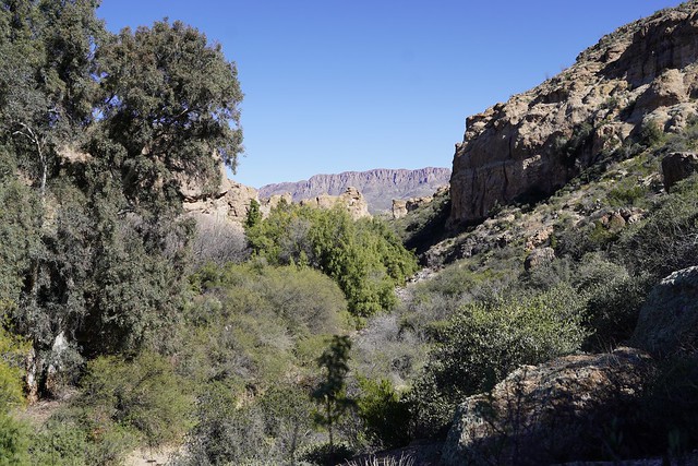 Look at this landscape