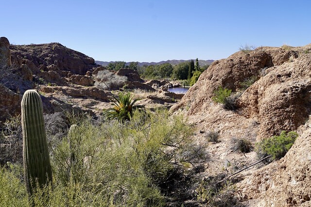 Looking toward ayer lake
