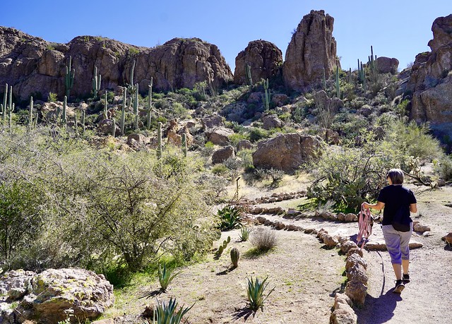 Walking into Boyce Arboretum