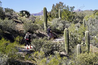 Gemma - Walkin through these cactuses