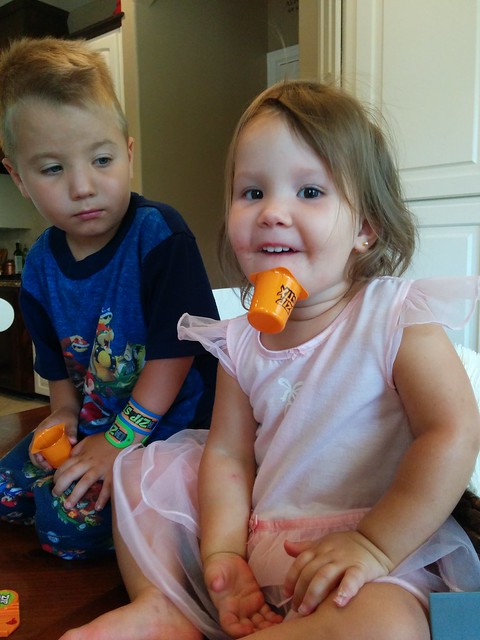 Playing with Zip Stix