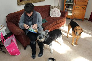 Chomp - Kari brought Thanksgiving dinner for the dogs