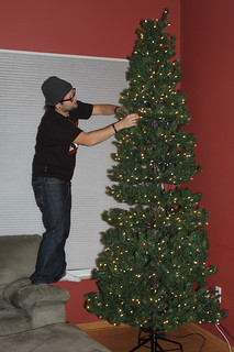 Puttin up the tree