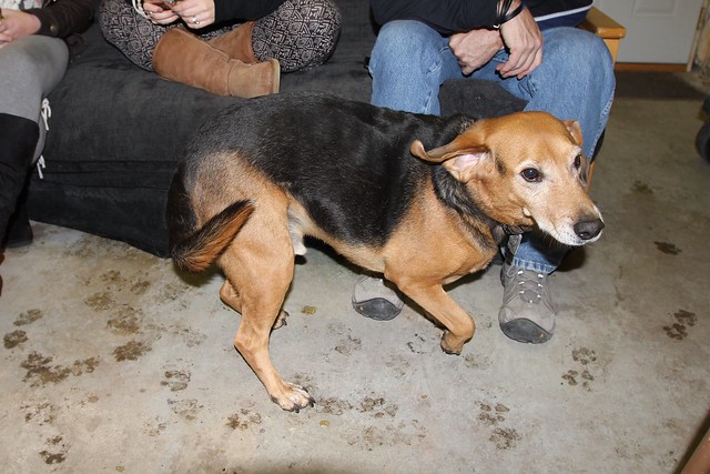 Someone was apparently digging