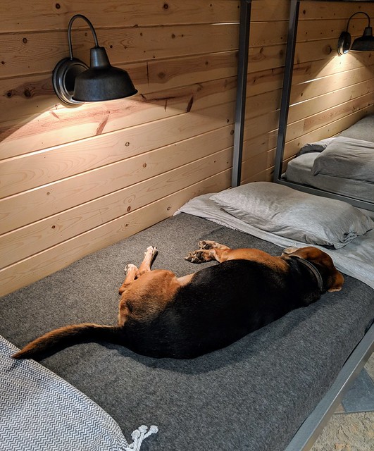 Garth finds the bunk beds