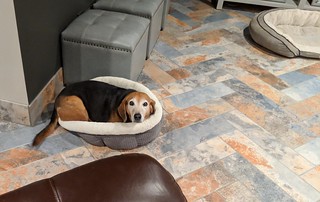 Garth likes Jaxon's tiny bed