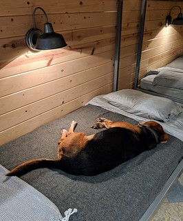 Garth finds the bunk beds