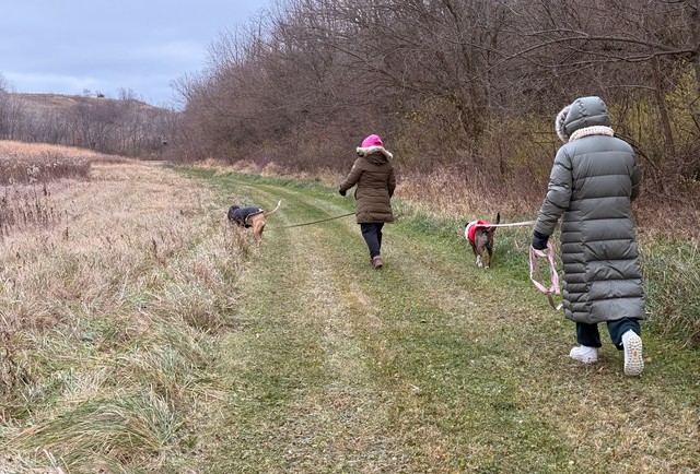 Hikin around the fields