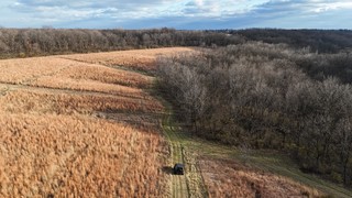 Cruising around the back forty