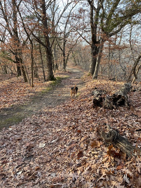 Old man leadin the way