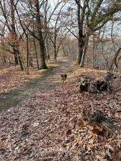 Old man leadin the way