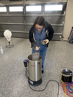 Homebrew - Hop spider time