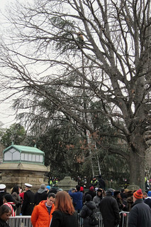 The disrespectful man in the tree who shouted about abortion during the entire ceremony