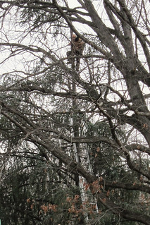 "OK! I'm coming down now!"