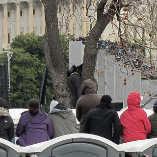 Getting wedged into a tree for a better view