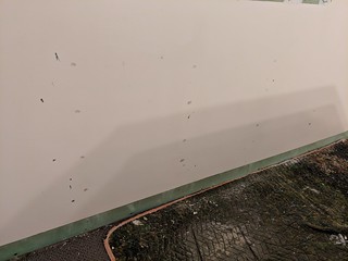 Lots of nail pops to scrape and fix