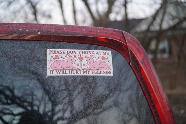 Please don't honk at me. It will hurt my feelings.